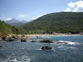 Les Asphodèles